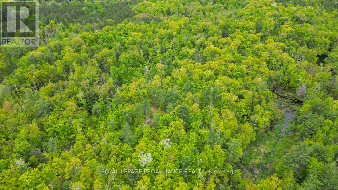 8 Clark Line Road Property Photo 11