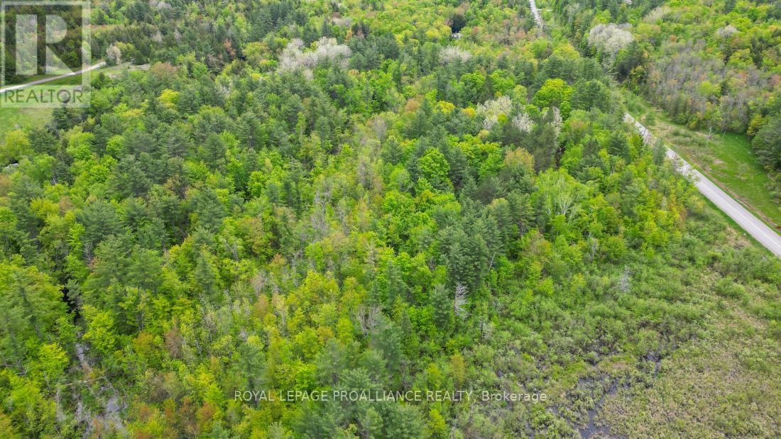 8 Clark Line Road Property Photo 12