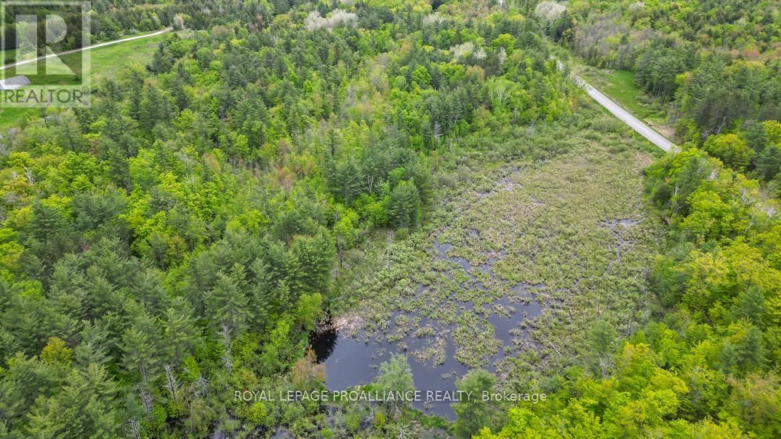 8 Clark Line Road Property Photo 13