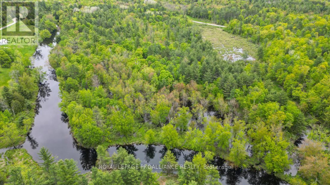 8 Clark Line Road Property Photo 15