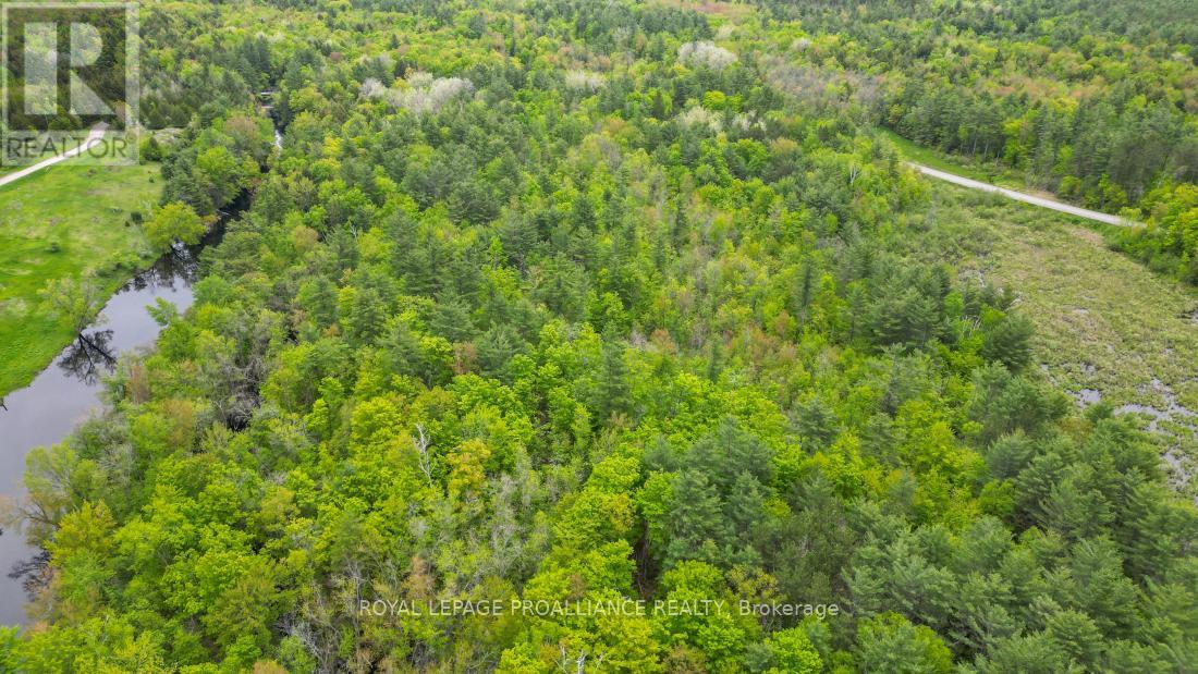 8 Clark Line Road Property Photo 16