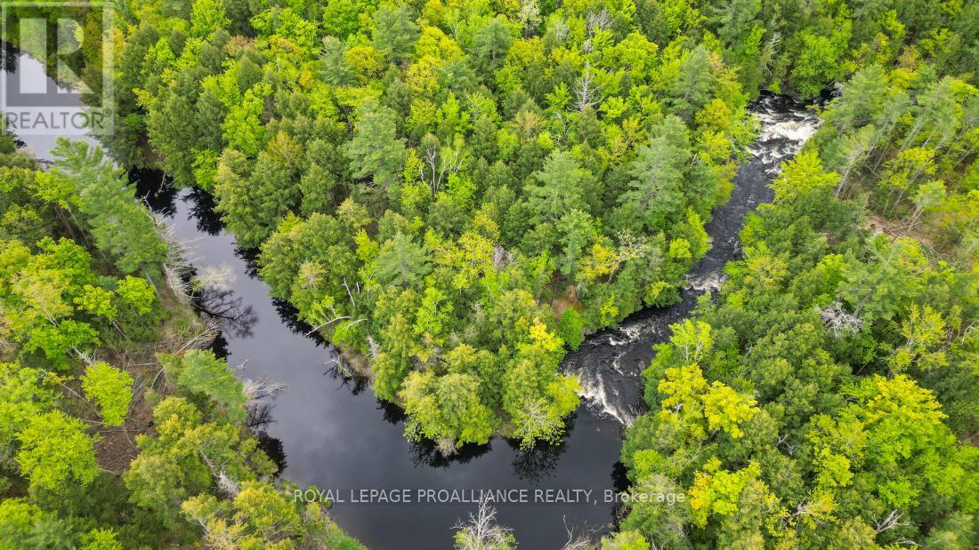 8 Clark Line Road Property Photo 18