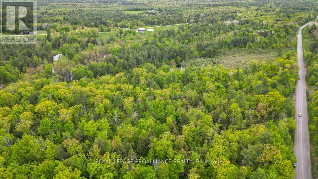 8 Clark Line Road Property Photo 19