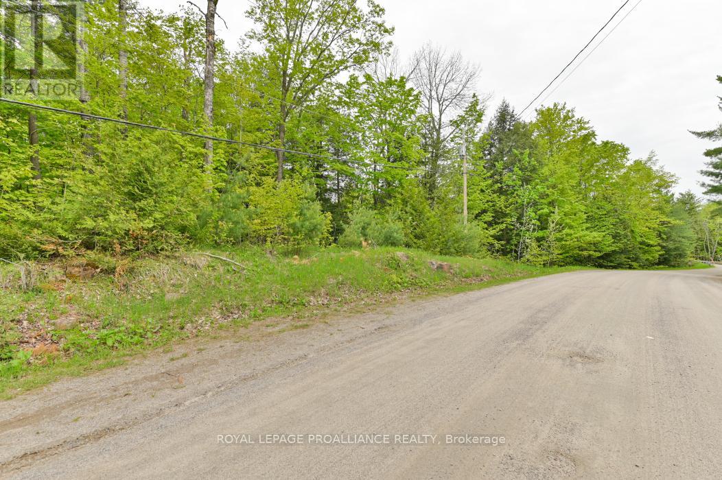 8 Clark Line Road Property Photo 21