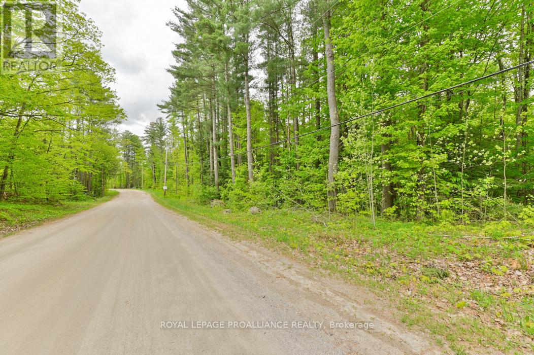 8 Clark Line Road Property Photo 22