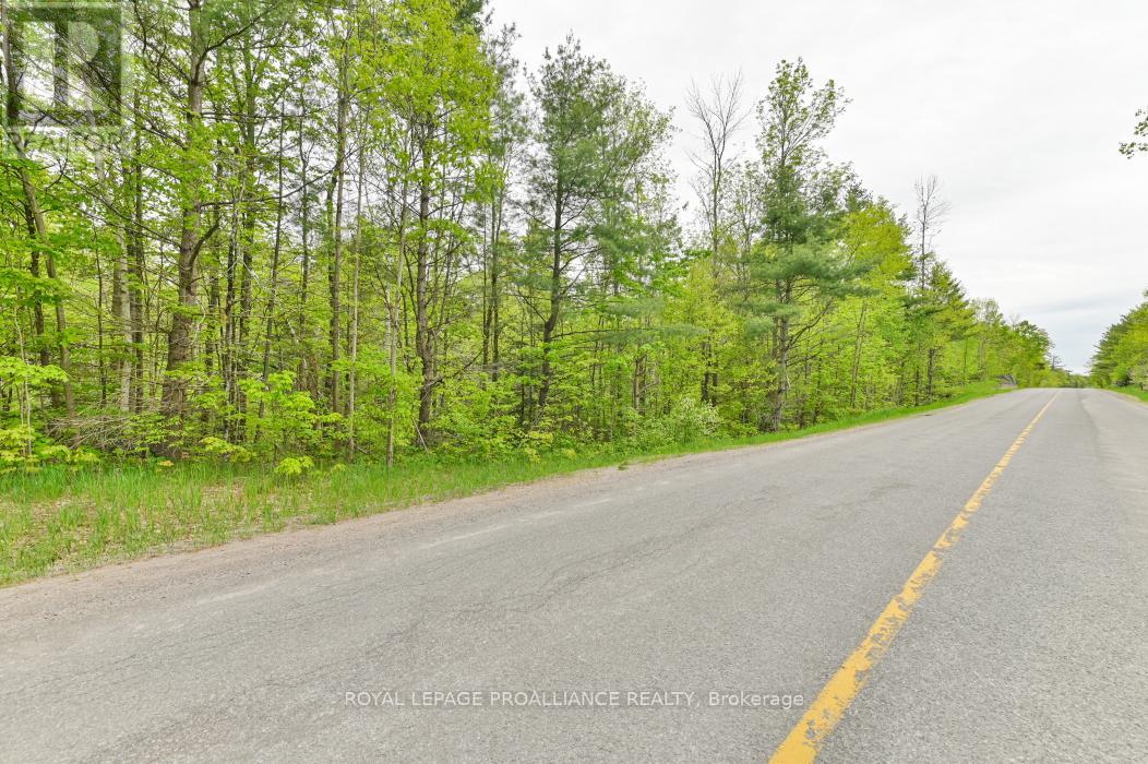 8 Clark Line Road Property Photo 23