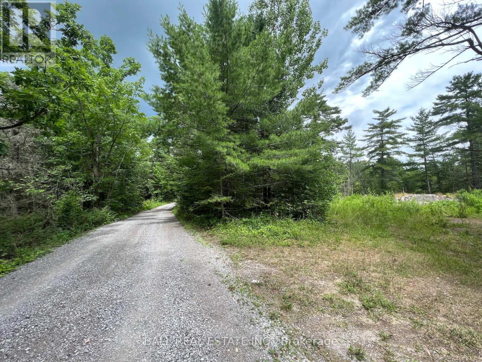 3 Fire Route 81 Property Photo 2