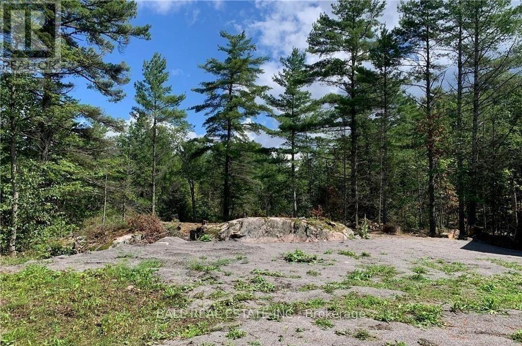 3 Fire Route 81 Property Photo 3