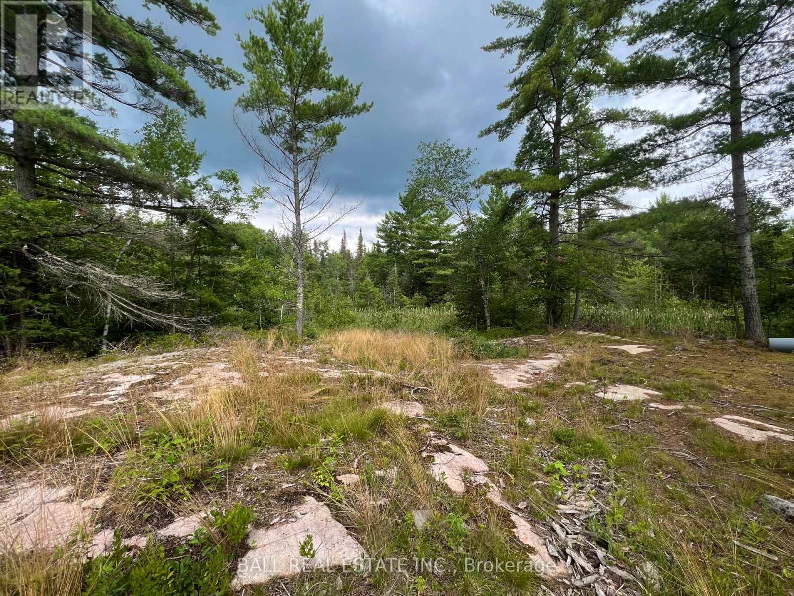 3 Fire Route 81 Property Photo 8