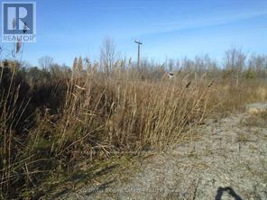 3-49 Rideau Avenue N Property Photo 2