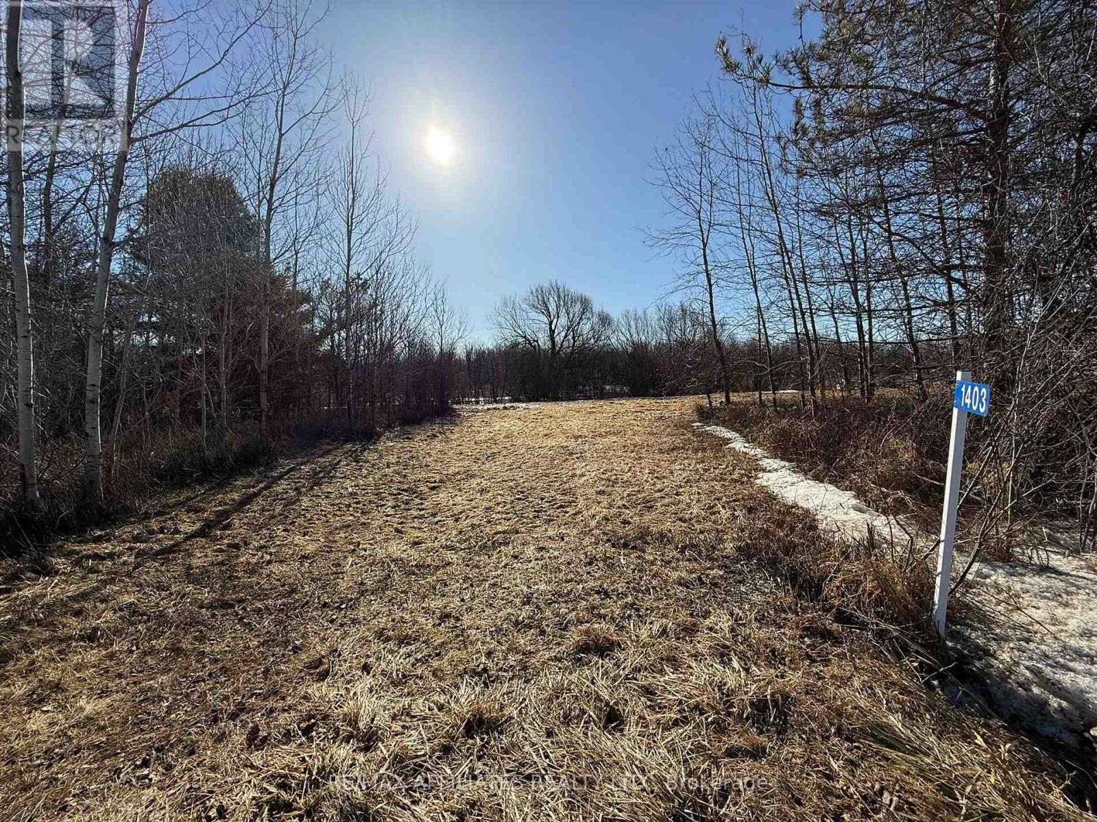 1403 Pittston Road Property Photo 4