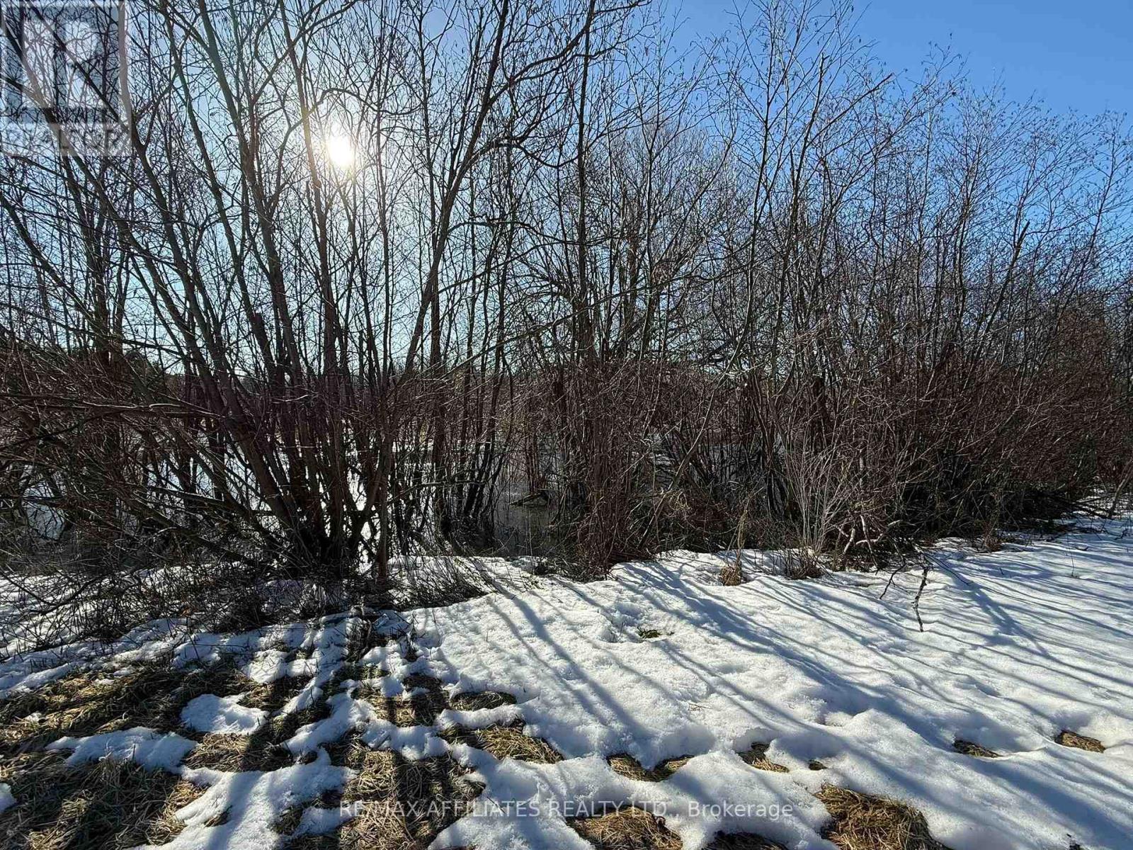 1403 Pittston Road Property Photo 6