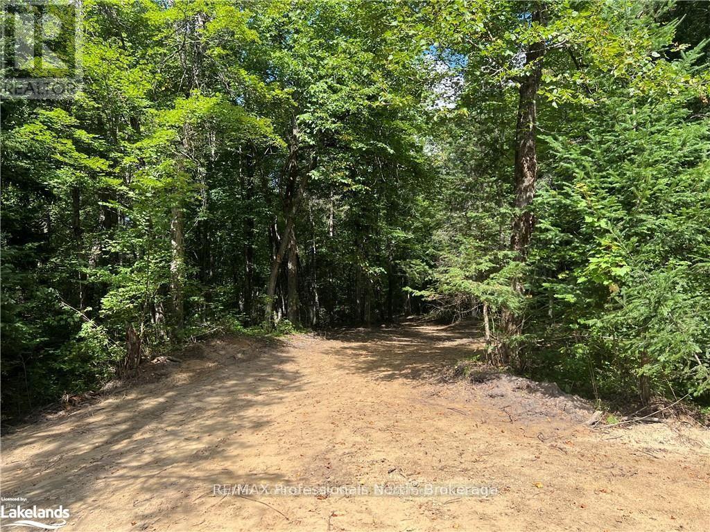 304 Old North Road Property Photo 11
