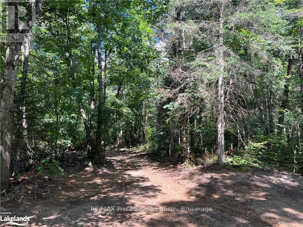 304 Old North Road Property Photo 12