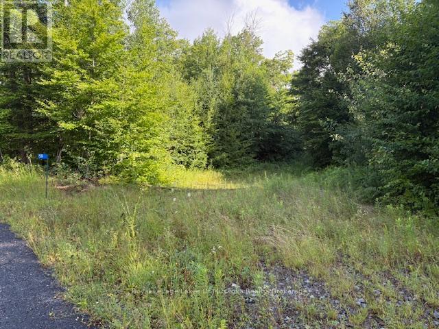 59 SUMMER LEIGH TRAIL Property Photo 1
