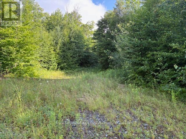 59 Summer Leigh Trail Property Photo 2