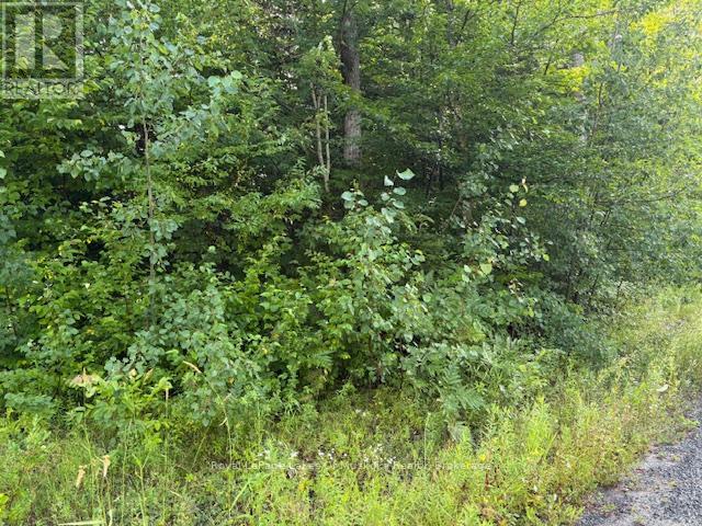 59 Summer Leigh Trail Property Photo 3