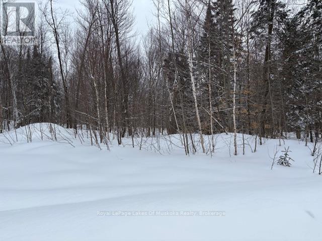 59 Summer Leigh Trail Property Photo 5