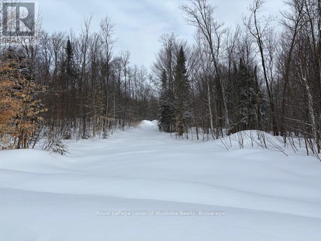 59 Summer Leigh Trail Property Photo 6