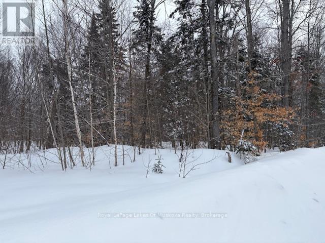 59 Summer Leigh Trail Property Photo 7