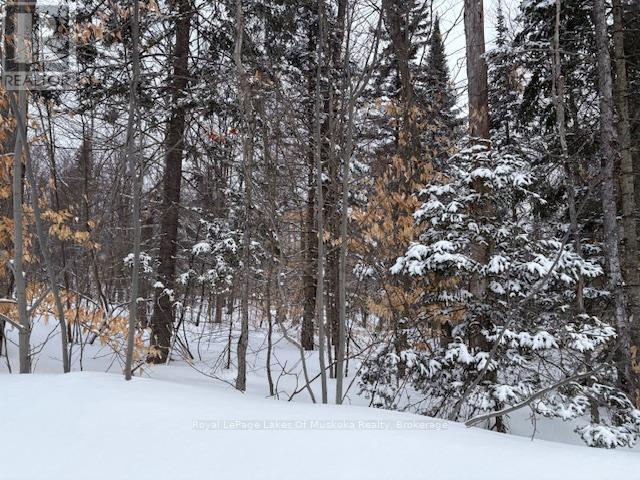 59 Summer Leigh Trail Property Photo 8