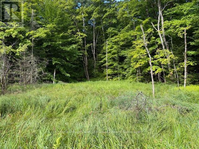 1788 Old Muskoka Road Property Photo 1