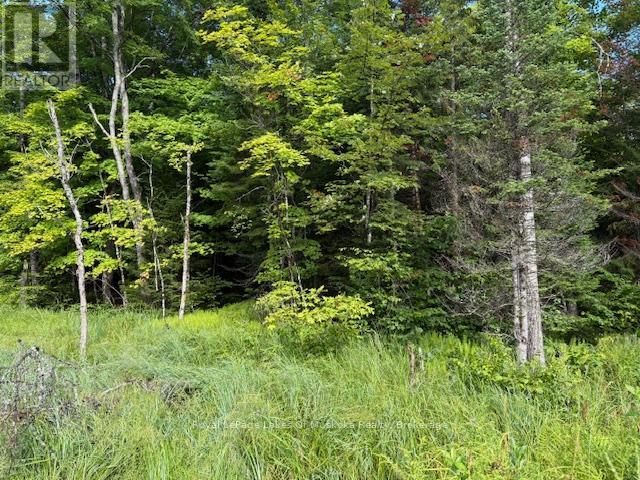 1788 Old Muskoka Road Property Photo 2