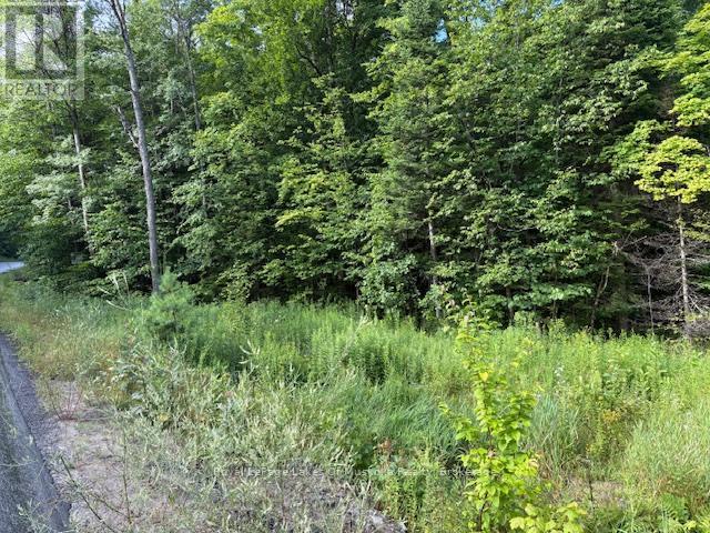1788 Old Muskoka Road Property Photo 3