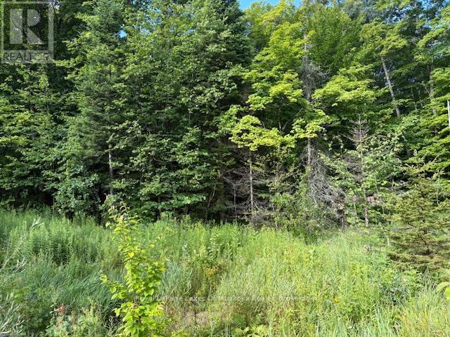 1788 Old Muskoka Road Property Photo 4