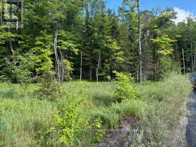 1788 Old Muskoka Road Property Photo 5