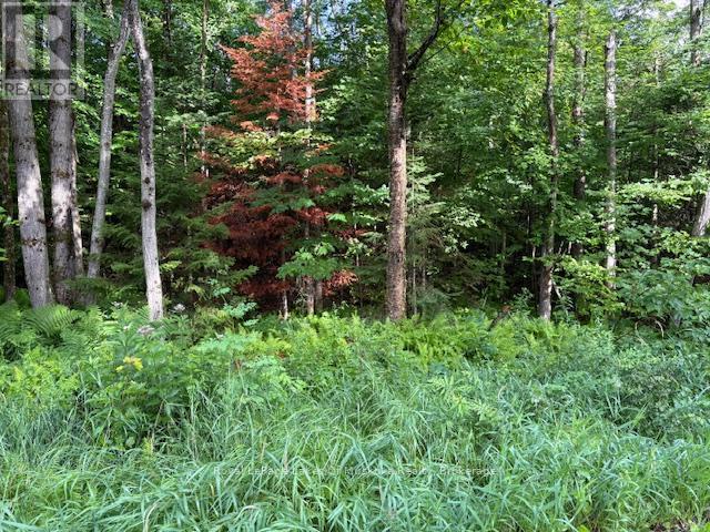 1788 Old Muskoka Road Property Photo 6