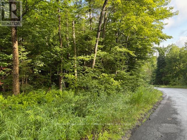 1788 Old Muskoka Road Property Photo 7