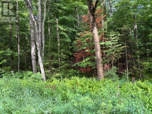 1788 Old Muskoka Road Property Photo 8