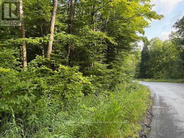 1788 Old Muskoka Road Property Photo 9