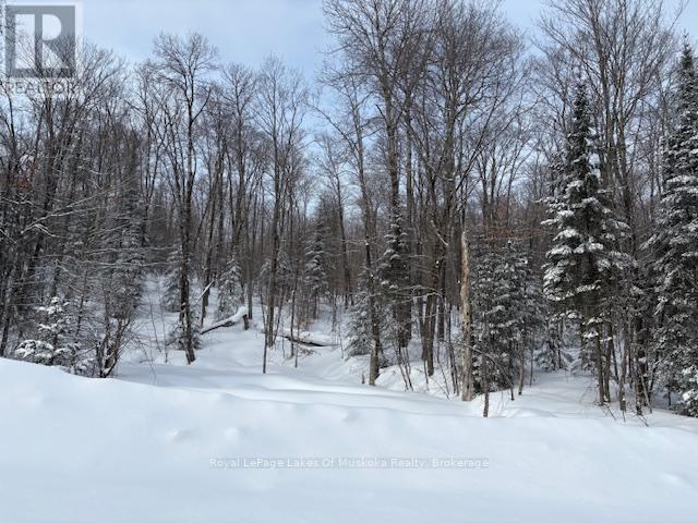 1788 Old Muskoka Road Property Photo 11