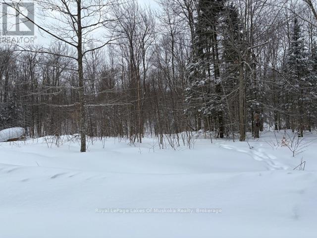 48 Summer Leigh Trail Property Photo 1