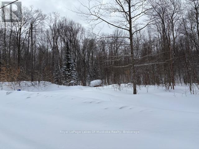 48 Summer Leigh Trail Property Photo 2