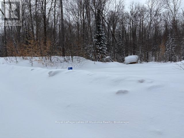 48 Summer Leigh Trail Property Photo 3