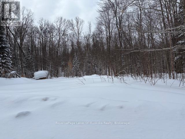 48 Summer Leigh Trail Property Photo 4