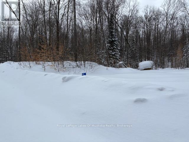 48 Summer Leigh Trail Property Photo 6
