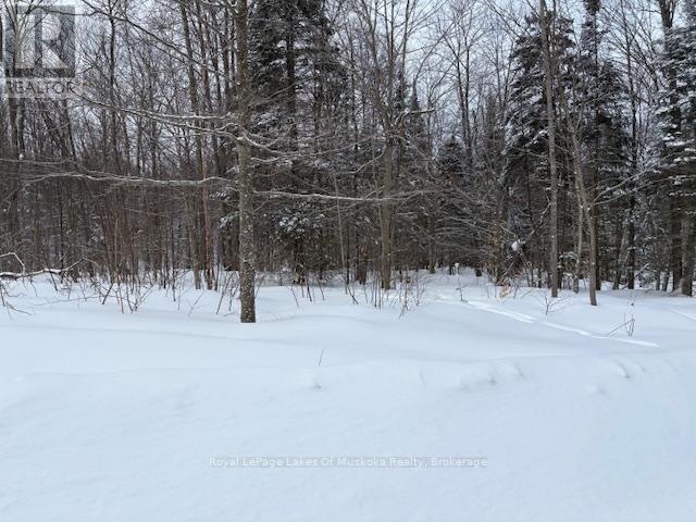 48 Summer Leigh Trail Property Photo 7