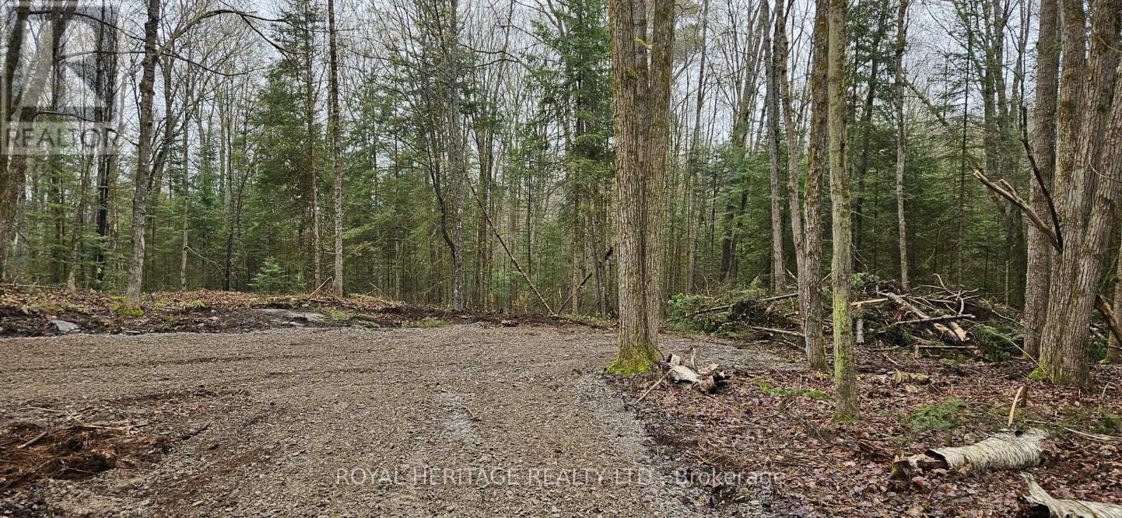 0b Reid Street Property Photo 4