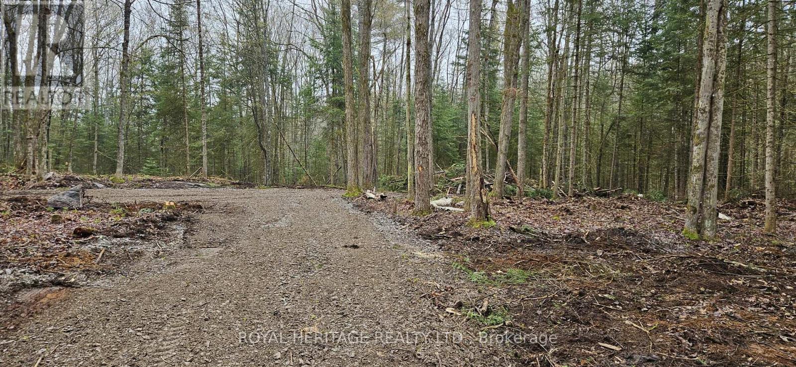 0b Reid Street Property Photo 6