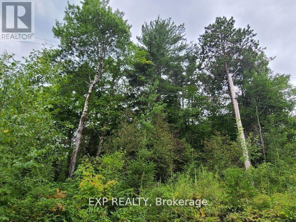 20 Peplinski Homestead Road Property Photo 1