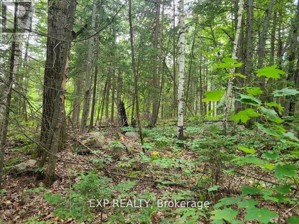 20 Peplinski Homestead Road Property Photo 2