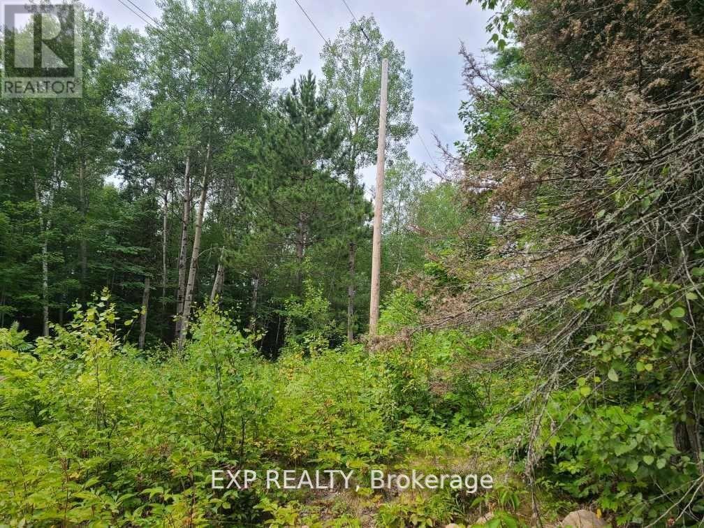 20 Peplinski Homestead Road Property Photo 3