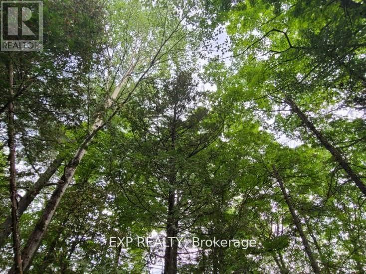 20 Peplinski Homestead Road Property Photo 4