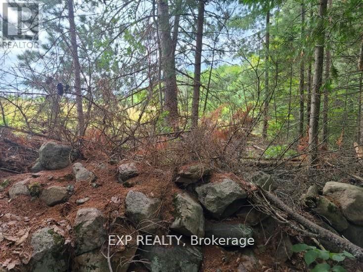 20 Peplinski Homestead Road Property Photo 7