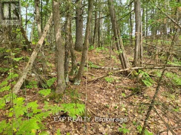 20 Peplinski Homestead Road Property Photo 8