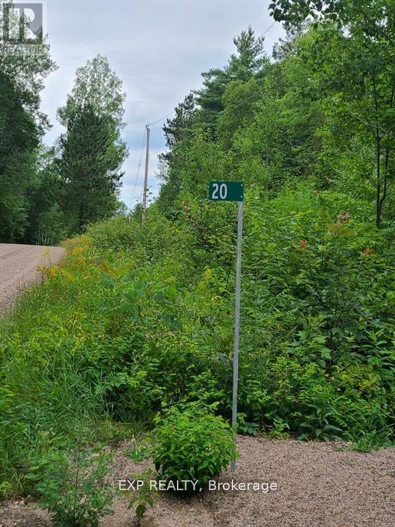 20 Peplinski Homestead Road Property Photo 15